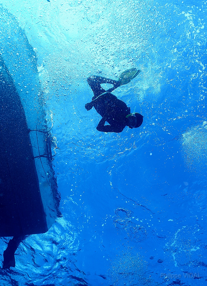 Raja Ampat 2016 - Ambiance - IMG_4413_rc.jpg